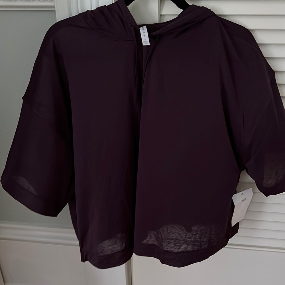 Athlete cropped sheer hoodie tee